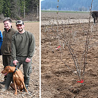 Bild zum Weblog-Eintrag 286